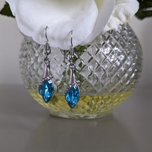 Dangle Hook Earrings